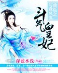 斗气皇妃:重生之写意风流