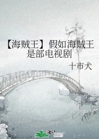 【海贼王】假如海贼王是部电视剧