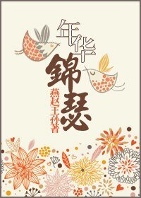年華錦瑟