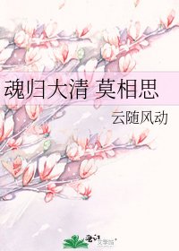 魂歸大清 莫相思